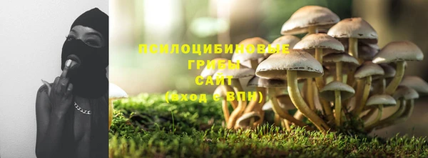 твердый Балахна
