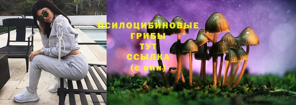 твердый Балахна