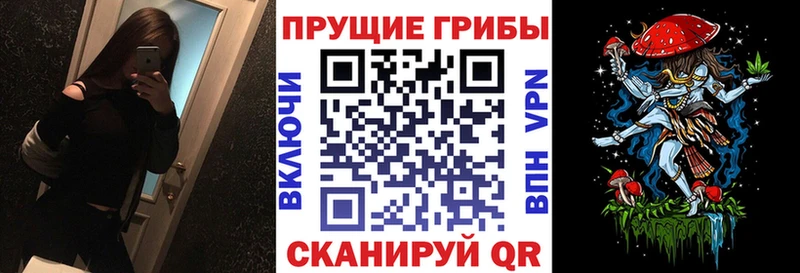 кракен вход  наркота  Черняховск  Галлюциногенные грибы Magic Shrooms 